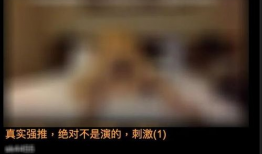 黄色片视频大全,揭秘网络色情内容的真相与危害