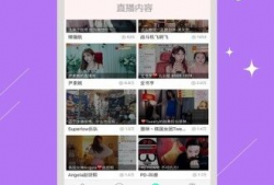 91直播自定义,打造个性化直播体验，引领互动娱乐新潮流